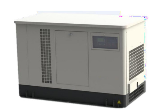 natural gas generator