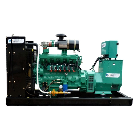 Nature Gas Biogas LPG Gas Generator