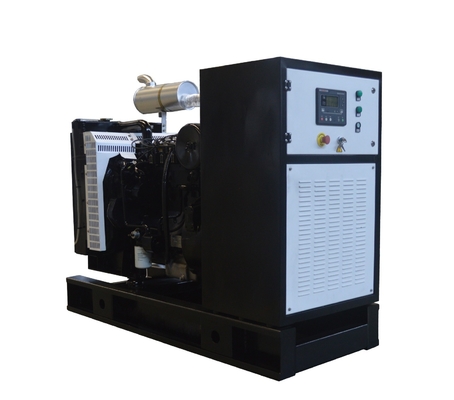 10-1000 kw natural gas generator price