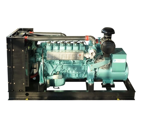 Customized 300 kva Gas Generator