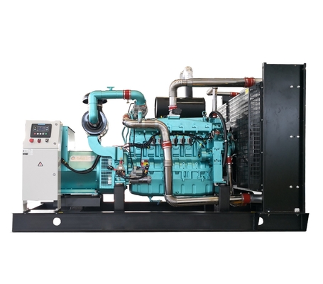 600kw Silent Natural Gas Generator LPG Generator Biogas Generator