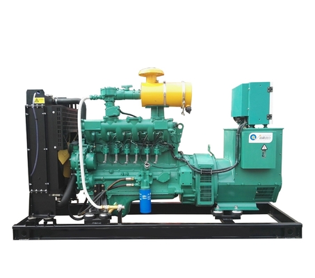 300KVA Natural Gas Generator LPG Generator Biogas Generator