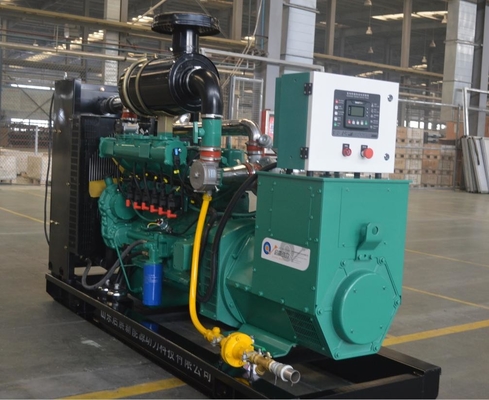 Natural gas power generator at factory price