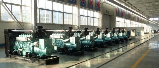 Natural gas power generator at factory price