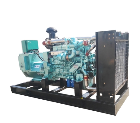 Factory direct sale natural gas generator as back up supply