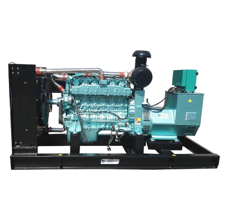 Factory direct sale natural gas generator as back up supply