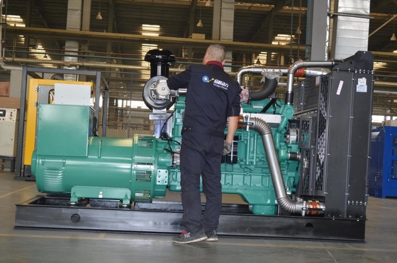 Brand New Natural Gas Generator with Reliable Gas Engine