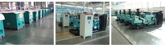 Brand New Natural Gas Generator with Good Alternator