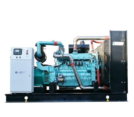 10kw-300kw CNG LNG Generator for Home Use