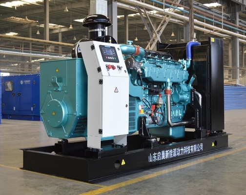 Gas Turbine Generator CNG LNG LPG Generator 300kw