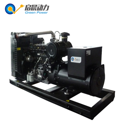 Factory directly sale CNG natural gas generator 10KW