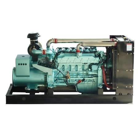 Factory directly sale CNG natural gas generator 30KW