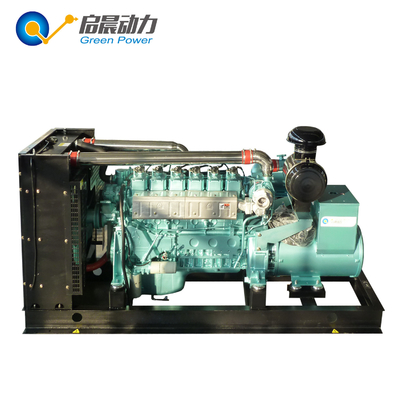 Factory directly sale CNG natural gas generator 30KW
