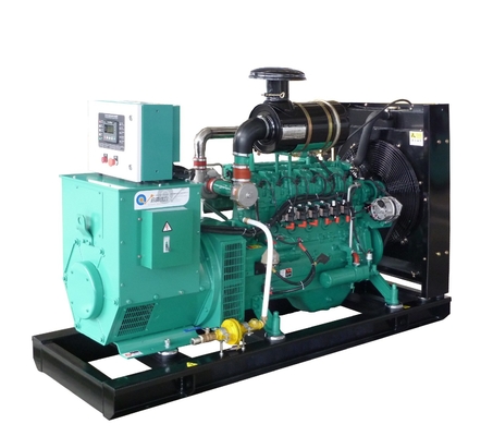 OEM Service Gas Power Generator Biogas / Natural Gas / LPG Generator
