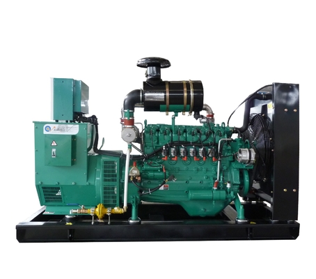 OEM Service Gas Power Generator Biogas / Natural Gas / LPG Generator