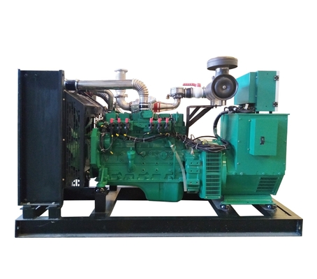 OEM Service Gas Power Generator Biogas / Natural Gas / LPG Generator