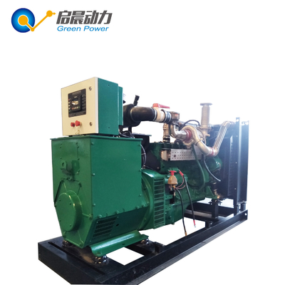 OEM Service Gas Power Generator Biogas / Natural Gas / LPG Generator