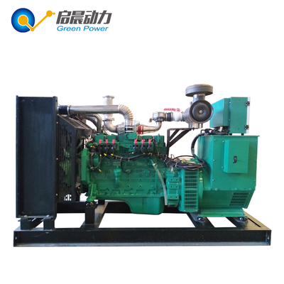 OEM Service Gas Power Generator Biogas / Natural Gas / LPG Generator