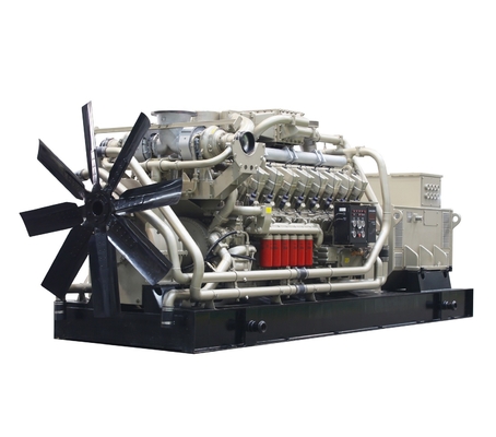 Good Price 1MW Biogas Generator for sale