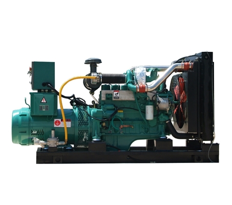 10 - 600KW Biogas Generator Biogas Electric Generator for Sale