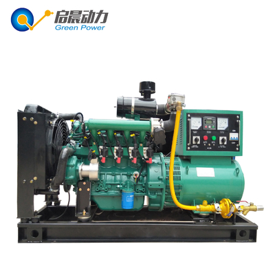 Container Gas Generator Set Price Biogas Natural Gas LPG Generator