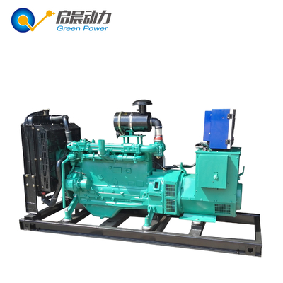 LPG Biogas Generator Set