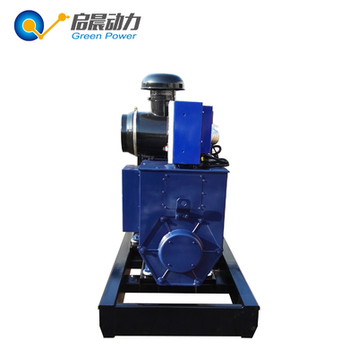 AC Three Phase 400/230V Biogas Natural Gas Generator Price