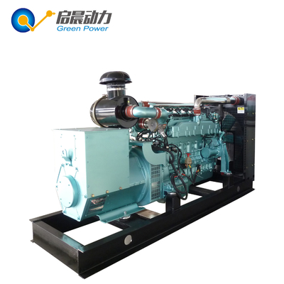 China Biogas Generator for Sale Philippines