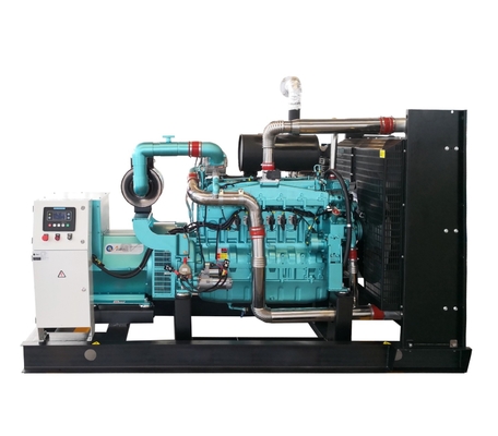 100kw 150kw 200kw 300kw biogas electric generator natural gas power generator