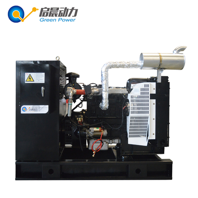 50kw 80kw 100kw 120kw 150kw biogas generator with CHP