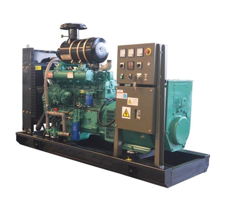 300kw 600kw 900kw Biogas Generator Set for Sale