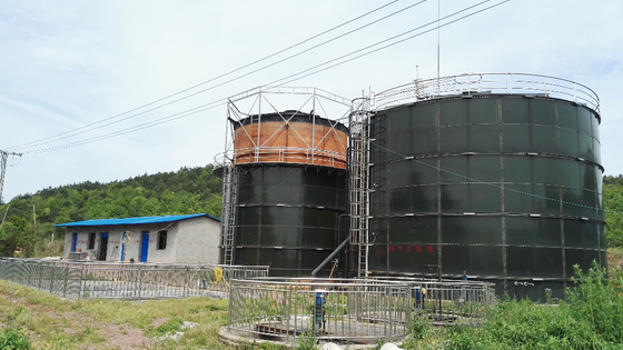 Biogas generator biogas plant for pig farm