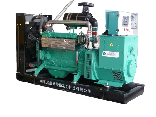 100kw Biogas Generator Menthane Generator for Pig Farm