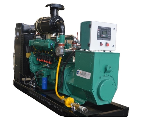 Biogas Generator Natural Gas Generator Set with ATS