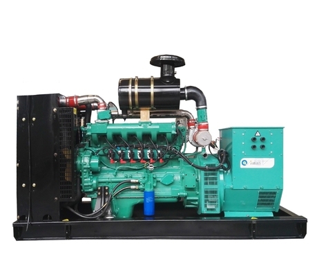 Open Type Methane Generator Biogas Generator 200kVA 160kw