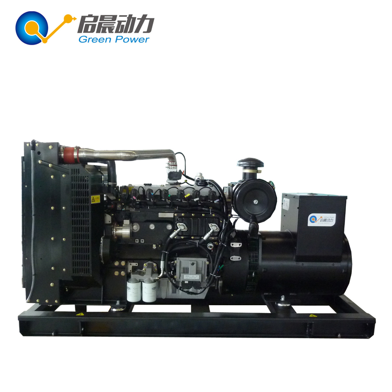 Electric Generator Portable Electric Generator Biogas/Natural Gas/LPG Generator