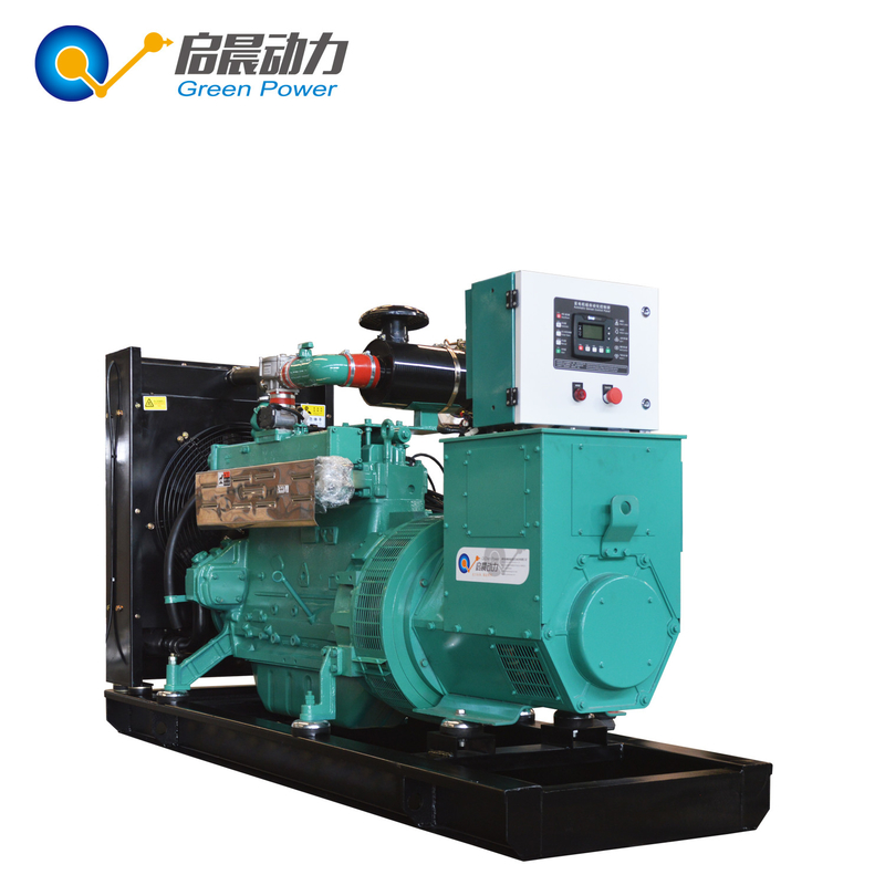 30kw 50kw 80kw 100KW Biogas Generator Price Natural Gas / LPG Generator at Factory Price