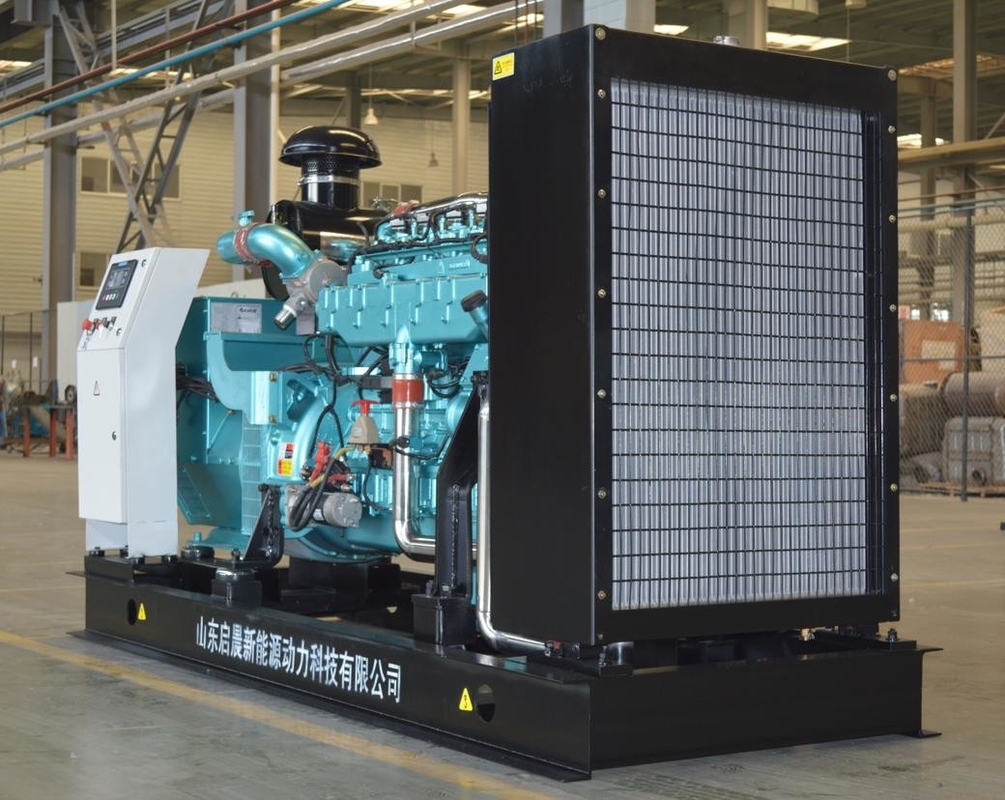 50 / 60Hz Open Type Biogas Driven Generator 450kVA Methane Generator