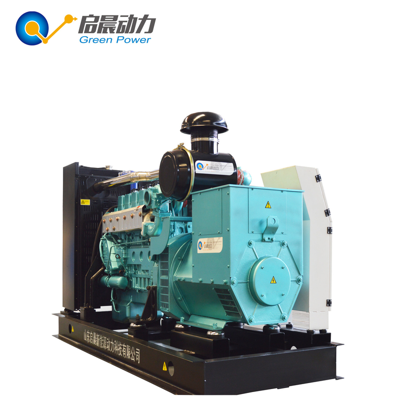 ISO CE Industrial Open Type Methane Generator 250kVA  Biogas Generator